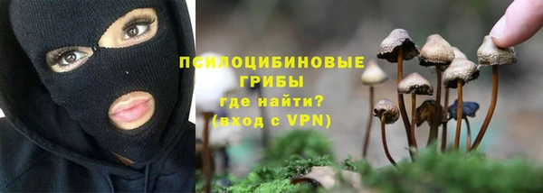 таблы Армянск
