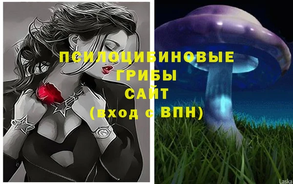 скорость Арсеньев