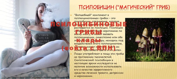 молекула духа Аркадак