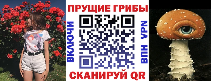 Псилоцибиновые грибы мицелий  гидра вход  Озёры 