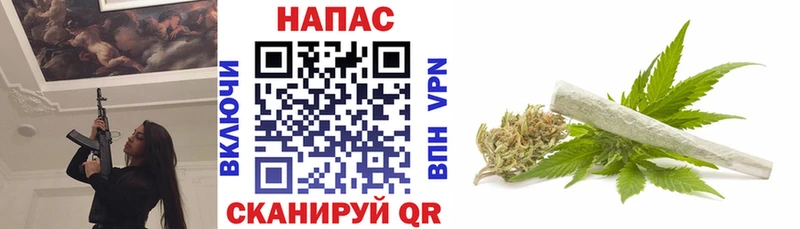 Канабис конопля Озёры