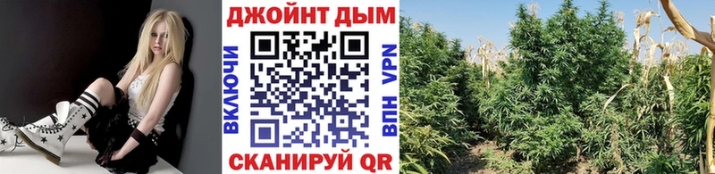mega ссылки  Озёры  Каннабис ГИДРОПОН 